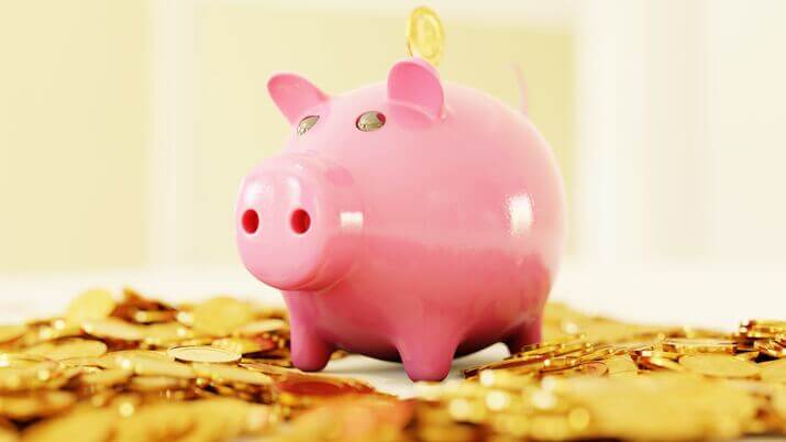 Piggy bank savings category